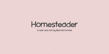 Homesteader Rustic Sans Font Poster 1