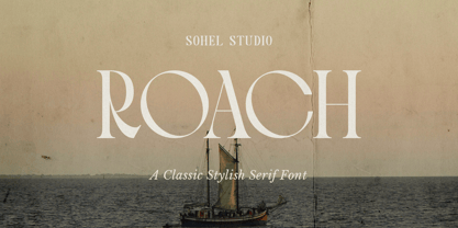 Roach Font Poster 1