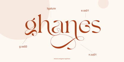 Shavina Elegance Font Poster 6