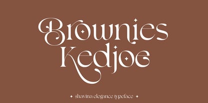 Shavina Elegance Font Poster 11