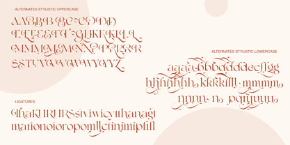 Shavina Elegance Font Poster 7