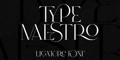 Type Maestro Font Poster 1