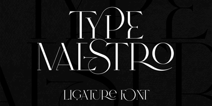 Type Maestro Fuente Póster 1