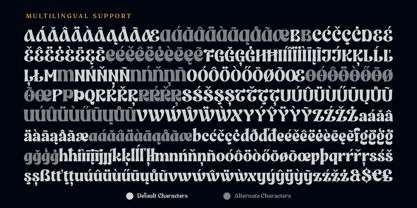 Regnante Font Poster 11