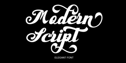 Modern Script Font Poster 1