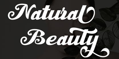 Modern Script Font Poster 4