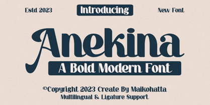 Anekina Font Poster 1