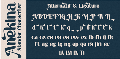 Anekina Font Poster 7