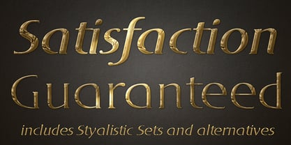 DT Skiart Serif Leaf Font Poster 5