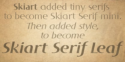 DT Skiart Serif Leaf Font Poster 6