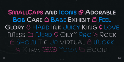 ND Nudel Font Poster 10