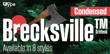 Brecksville Font Poster 1