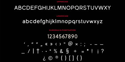 Nautica Rounded Font Poster 10