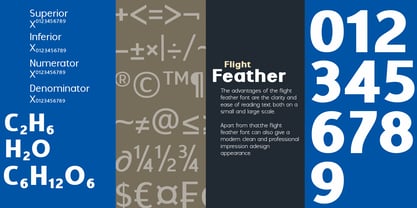 Flight Feather Font Poster 11