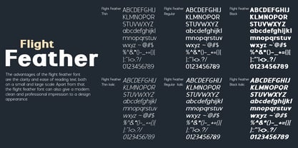 Flight Feather Font Poster 8