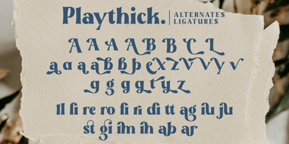 Playthick Font Poster 9