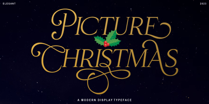 Christmas Picture Font Poster 1