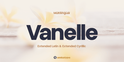 Vanelle Font Poster 1