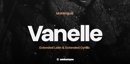 Vanelle Font Poster 8