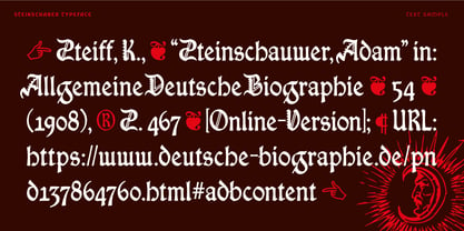 Steinschaber Font Poster 11