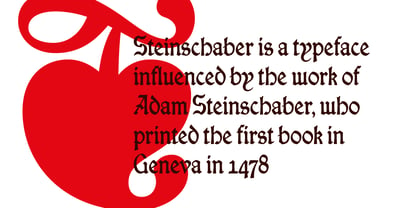 Steinschaber Font Poster 2