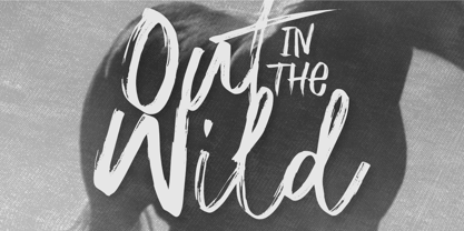 Out In The Wild Font Poster 1