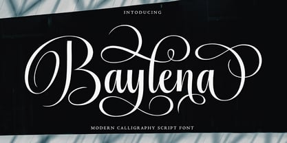 Baylena Font Poster 1