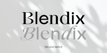 Blendix Font Poster 1