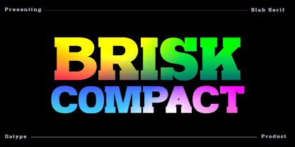 Brisk Compact Font Poster 1