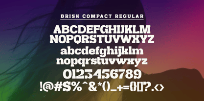 Brisk Compact Font Poster 7
