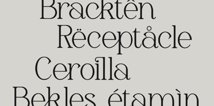 Gerlick Font Poster 2