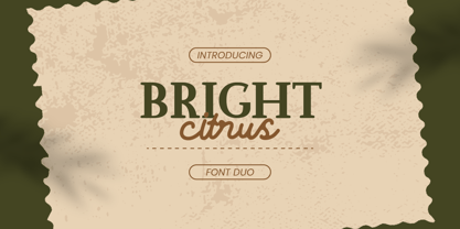 Bright Citrus Font Poster 1