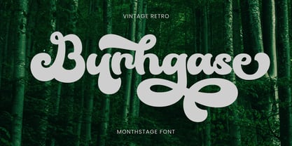 Monthstage Font Poster 9