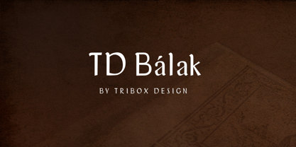 TD Balak Police Affiche 1