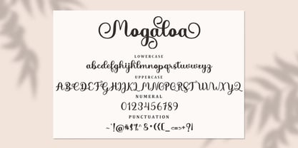 Mogaloa Script Font Poster 3