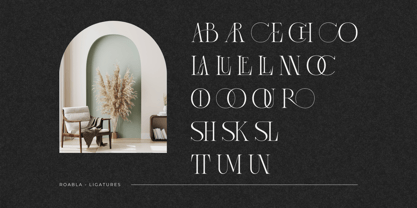 Roabla Font Poster 6