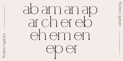 Enigma Serif Font Poster 4