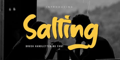 Salting Font Poster 1