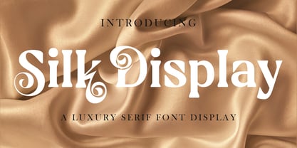 Silk Display Font Poster 1