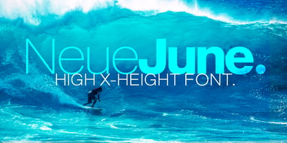 Neue June Font Poster 5