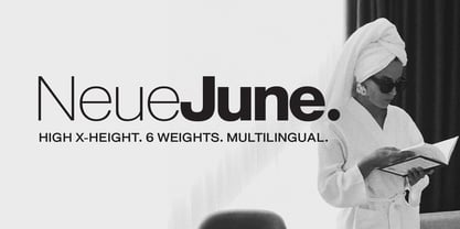 Neue June Font Poster 6