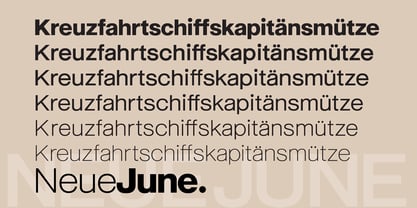 Neue June Font Poster 11