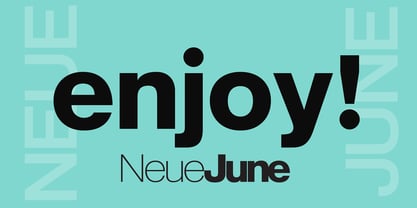 Neue June Font Poster 14