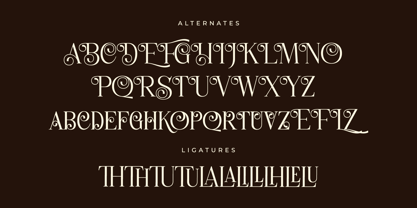 Holage Font Poster 8