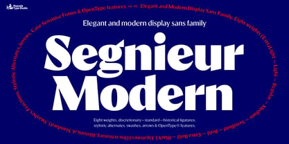 Segnieur Modern Font Poster 1