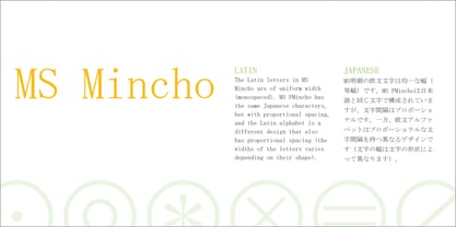 MS Mincho Font Poster 4