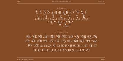 Aricena Font Poster 15