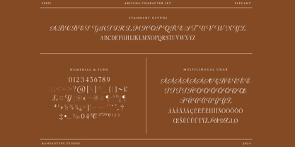 Aricena Font Poster 14