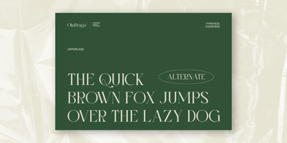 Ola Braga Elegant Serif Police Poster 11