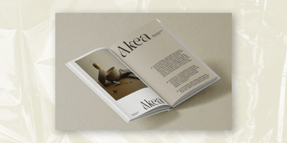 Ola Braga Elegant Serif Font Poster 9